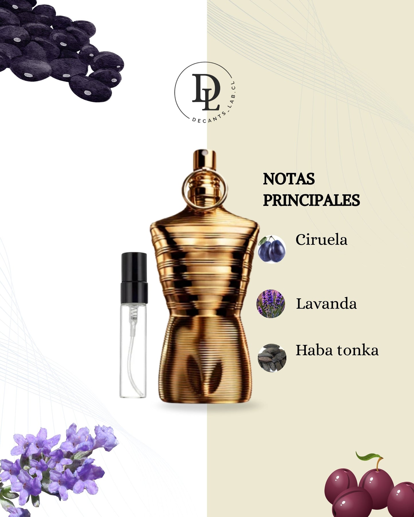 Jean Paul Gaultier Le Male Elixir Absolu - Decant