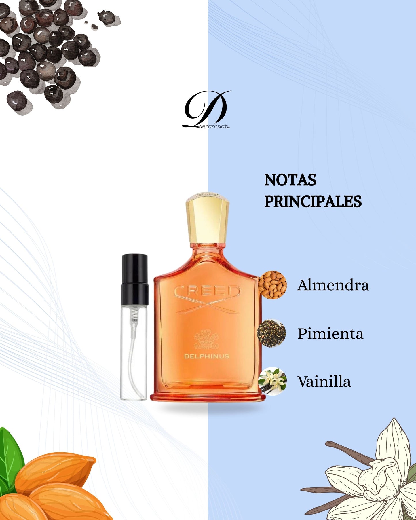 Creed Delphinus - Decant