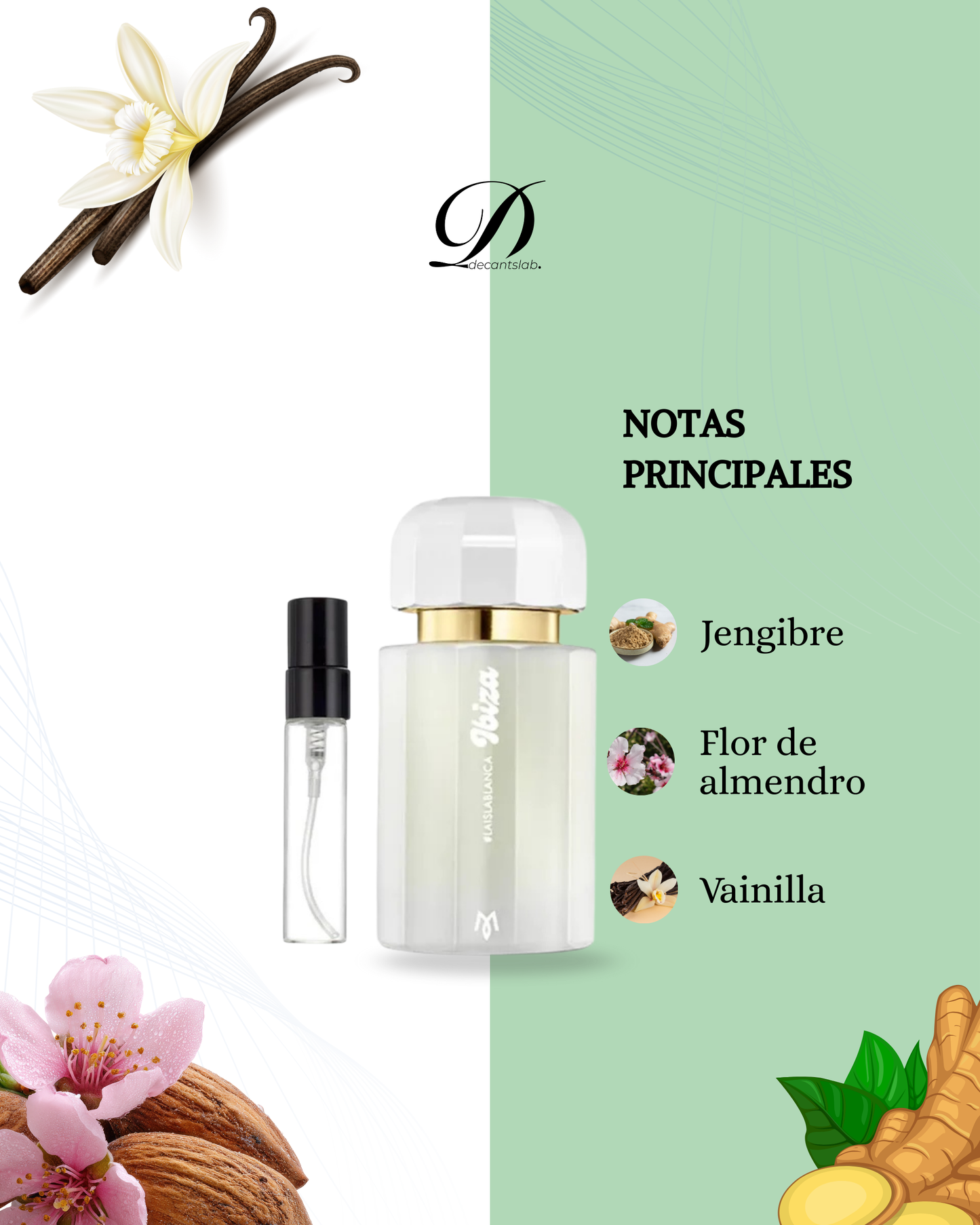 Isla Blanca - Decant